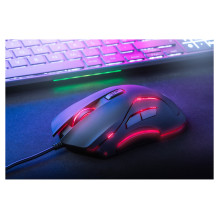 Sandberg 640-27 mouse