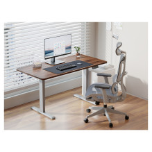 Equip 650813 standing desk frame Equip 650813 standing desk frame