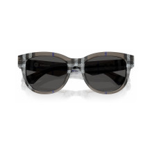 Akiniai nuo saulės BURBERRY moterims BE4432U414787 (Lęšis / tiltelis / auselė) 54 / 19 / 140 mm