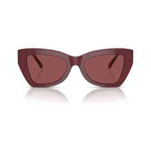 Saulės akiniai MICHAEL KORS moterims MK2205-394975 (lęšis / tiltelis / auselė) 52 / 19 / 140 mm Saulės akiniai MICHAEL KORS moterims MK2205-394975 (lęšis / tiltelis / auselė) 52 / 19 / 140 mm
