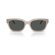 Akiniai nuo saulės ARMANI EXCHANGE moterims AX4155SU83748 (Lęšis / tiltelis / auselė) 54 / 19 / 140 mm Akiniai nuo saulės ARMANI EXCHANGE moterims AX4155SU83748 (Lęšis / tiltelis / auselė) 54 / 19 / 140 mm