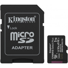 Kingston 1TB Canvas Select...