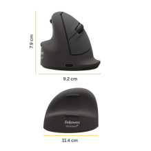 Fellowes 100143584 universal mouse left-handed Bluetooth + USB Type-C optical 2400 DPI