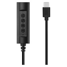 SANDBERG Ausinių USB-C...