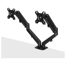LINDY Dual Mount Desktop...
