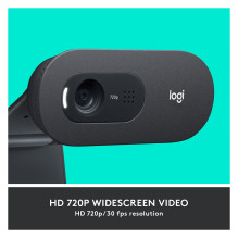 Logitech C505 HD internetinė kamera 1280 x 720 pikselių USB juoda (960-001363)