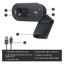 Logitech C505 HD internetinė kamera 1280 x 720 pikselių USB juoda (960-001363)