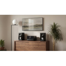 BLAUPUNKT MS49DAB Micro hi-fi system black