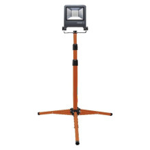 PROŽEK PASTATOMAS 1X50W...