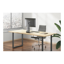 Neomounts FPMA-D850BLACK monitor mount / stand