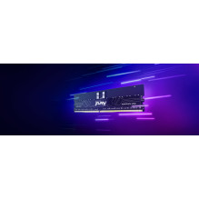 KINGSTON 256GB 6400MT / s DDR5 ECC Reg CL32 DIMM Kit of 8 FURY Renegade Pro EXPO KINGSTON 256GB 6400MT / s DDR5 ECC Reg CL32 DIMM Kit of 8 FURY Renegade Pro EXPO