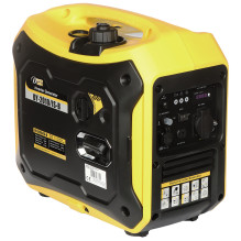 Inverter electric generator...