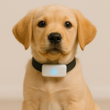 TK911 PRO 4G GPS Tracker