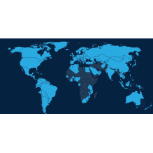 Teltonika Global SIM kortelė 5 metų planas Teltonika Global SIM kortelė 5 metų planas