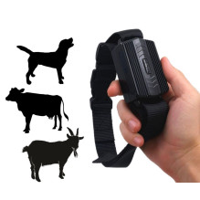 TK935-4G GPS seklys, baterija 3000 mAh TK935-4G GPS seklys, baterija 3000 mAh