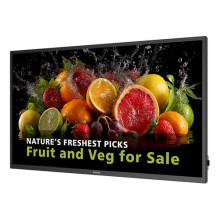 Philips 55IN LCD ADS 4K TV...