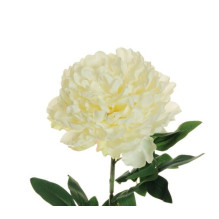 Artificial flower, peony, white col., 82 cm Artificial flower, peony, white col., 82 cm