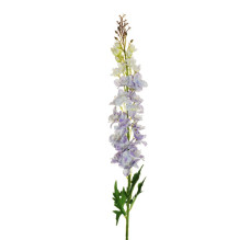 Artificial flower, lilac...