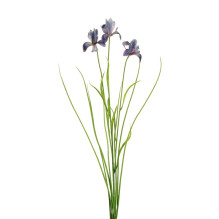 Dirbtinė gėlė Irisas, mėlyna sp., 72 cm Dirbtinė gėlė Irisas, mėlyna sp., 72 cm