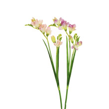 Artificial flower, freesia,...