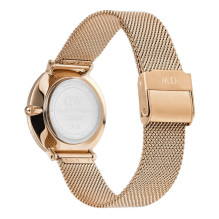 WATCH DANIEL WELLINGTON WOMEN DW00100823 (32MM) WATCH DANIEL WELLINGTON WOMEN DW00100823 (32MM)