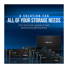 PNY M280CS2241-500-RB internal solid state drive PNY M280CS2241-500-RB internal solid state drive
