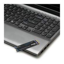 PNY M280CS2241-500-RB internal solid state drive PNY M280CS2241-500-RB internal solid state drive