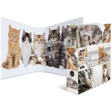 Ordner A4 Katzen