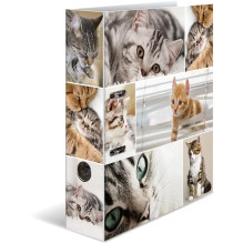 Ordner A4 Katzen