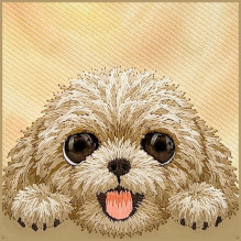 NIMMY case BIG EYED LYING TEDDY POODLE compatible with MagSafe for IPHONE 18 Pro Max / 17 Pro Max brown NIMMY case BIG EYED LYING TEDDY POODLE compatible with MagSafe for IPHONE 18 Pro Max / 17 Pro Max brown