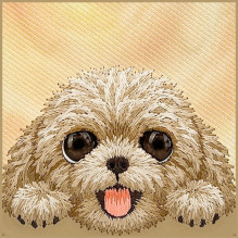 NIMMY case BIG EYED LYING TEDDY POODLE compatible with MagSafe for IPHONE 18 Pro / 17 Pro brown NIMMY case BIG EYED LYING TEDDY POODLE compatible with MagSafe for IPHONE 18 Pro / 17 Pro brown