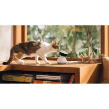 IP camera PETLIBRO SCOUT SMART AI camera
