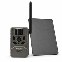 Trail camera - Forest...