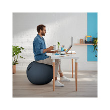 52790089 LEITZ Ergo Cozy Sitzball grau 52790089 LEITZ Ergo Cozy Sitzball grau