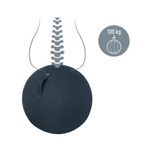 52790089 LEITZ Ergo Cozy Sitzball grau 52790089 LEITZ Ergo Cozy Sitzball grau