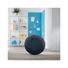 52790089 LEITZ Ergo Cozy Sitzball grau 52790089 LEITZ Ergo Cozy Sitzball grau