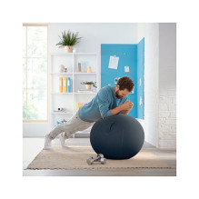 52790089 LEITZ Ergo Cozy Sitzball grau 52790089 LEITZ Ergo Cozy Sitzball grau