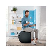 52790089 LEITZ Ergo Cozy Sitzball grau 52790089 LEITZ Ergo Cozy Sitzball grau