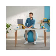 52790089 LEITZ Ergo Cozy Sitzball grau 52790089 LEITZ Ergo Cozy Sitzball grau