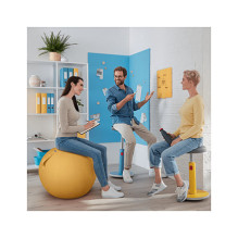 52790089 LEITZ Ergo Cozy Sitzball grau 52790089 LEITZ Ergo Cozy Sitzball grau