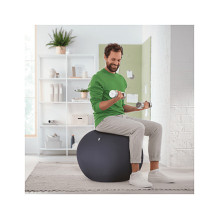 LEITZ Ergo Active Exercise Ball, Velvet Grey, 65cm, Anti-Roll-Away Design LEITZ Ergo Active Exercise Ball, Velvet Grey, 65cm, Anti-Roll-Away Design