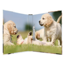 Ringbuch A4 Ketvirtadienis 2D