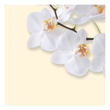 SIGEL Baltasis orchidėjų motyvacinis popierius DIN A4 90 g / m²