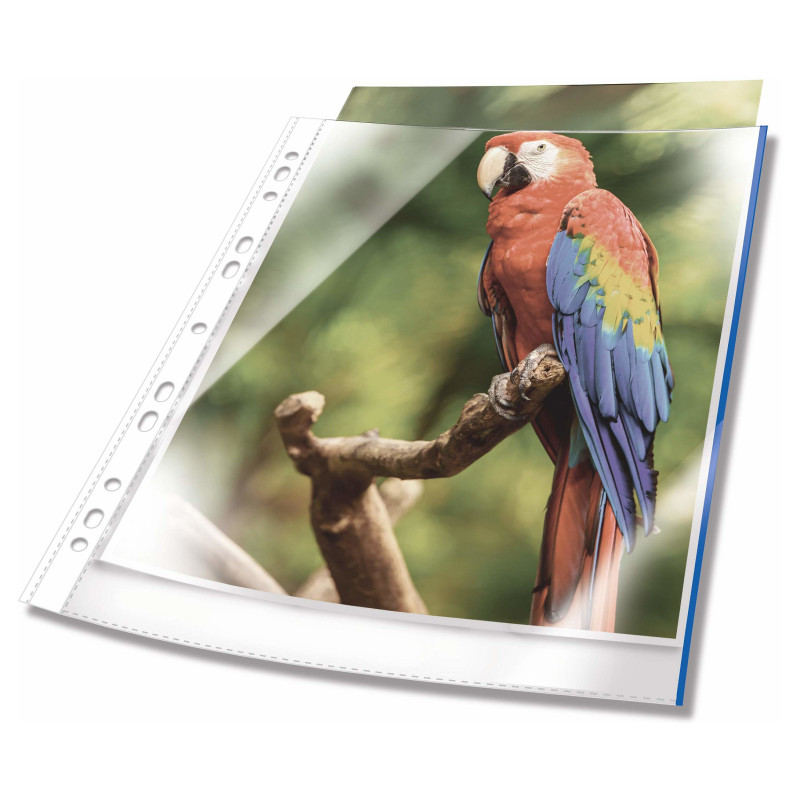 Prospekthüllen DIN A4 0.08 mm blau