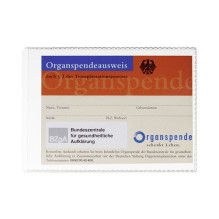 Dokumentas permatomas 10,5 x 7,4 cm - 10 Stück Dokumentas permatomas 10,5 x 7,4 cm - 10 Stück