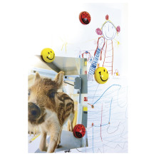 magnetoplan Smilie Magnete Motiv, Kunststoff Ø 3,0 cm, 6 St. magnetoplan Smilie Magnete Motiv, Kunststoff Ø 3,0 cm, 6 St.