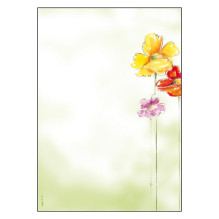 SIGEL Spring Flowers...