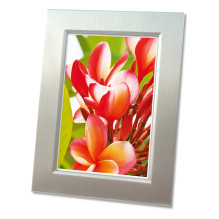 AVERY Zweckform fotopopierius 2556-20 DIN A4 hochglänzend 250 g / qm 20 Blatt AVERY Zweckform fotopopierius 2556-20 DIN A4 hochglänzend 250 g / qm 20 Blatt