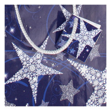 SIGEL Dovanų maišeliai buteliams Spindintys Star Dizainas 10,0 x 35,0 cm, 5 vnt. SIGEL Dovanų maišeliai buteliams Spindintys Star Dizainas 10,0 x 35,0 cm, 5 vnt.