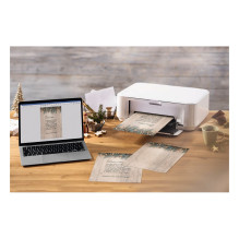 SIGEL Weihnachtsbriefpapier Golden Greens Motiv DIN A4 90 g / qm 25 Blatt SIGEL Weihnachtsbriefpapier Golden Greens Motiv DIN A4 90 g / qm 25 Blatt